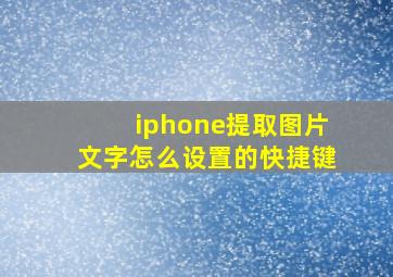 iphone提取图片文字怎么设置的快捷键