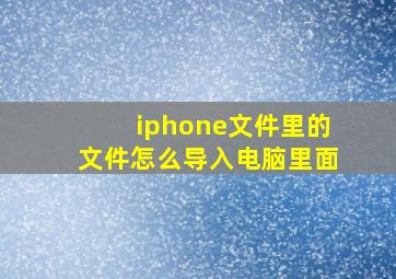 iphone文件里的文件怎么导入电脑里面