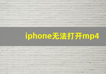 iphone无法打开mp4