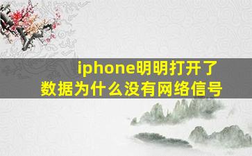 iphone明明打开了数据为什么没有网络信号