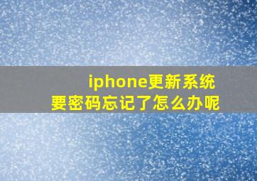 iphone更新系统要密码忘记了怎么办呢