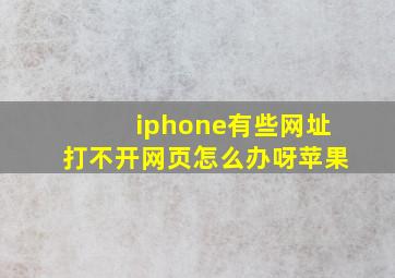 iphone有些网址打不开网页怎么办呀苹果