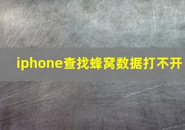 iphone查找蜂窝数据打不开