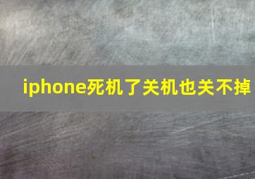 iphone死机了关机也关不掉