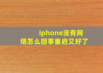 iphone没有网络怎么回事重启又好了