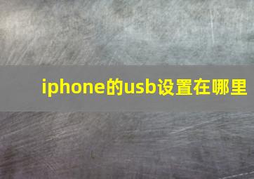 iphone的usb设置在哪里