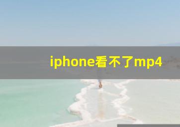 iphone看不了mp4