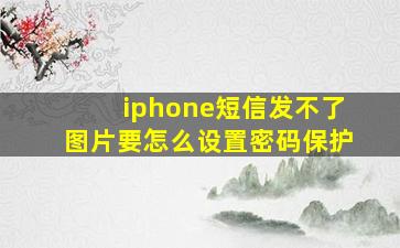 iphone短信发不了图片要怎么设置密码保护