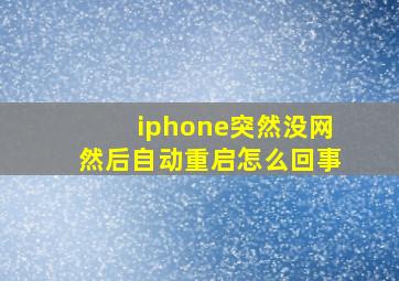 iphone突然没网然后自动重启怎么回事