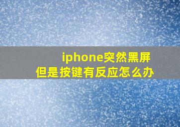 iphone突然黑屏但是按键有反应怎么办