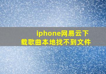 iphone网易云下载歌曲本地找不到文件