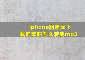 iphone网易云下载的歌曲怎么转成mp3