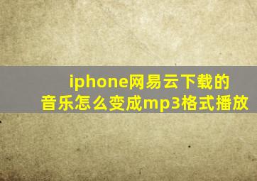 iphone网易云下载的音乐怎么变成mp3格式播放