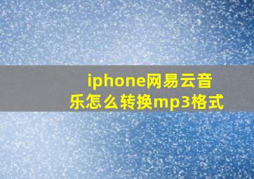 iphone网易云音乐怎么转换mp3格式