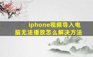 iphone视频导入电脑无法播放怎么解决方法