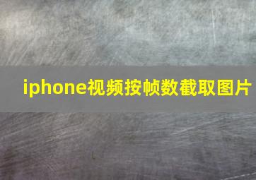 iphone视频按帧数截取图片