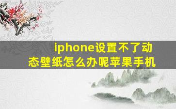 iphone设置不了动态壁纸怎么办呢苹果手机