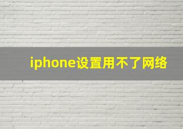 iphone设置用不了网络