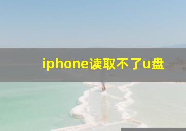 iphone读取不了u盘