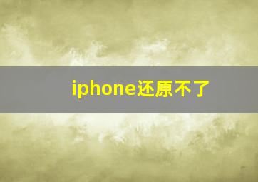 iphone还原不了