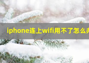 iphone连上wifi用不了怎么办