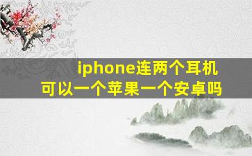 iphone连两个耳机可以一个苹果一个安卓吗