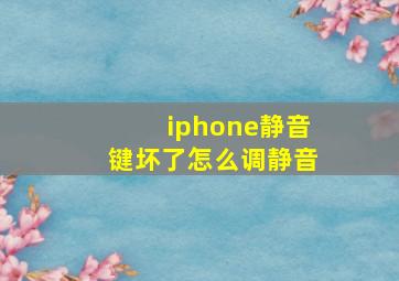 iphone静音键坏了怎么调静音