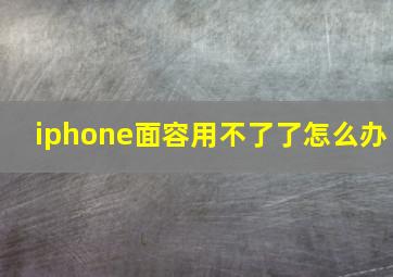 iphone面容用不了了怎么办