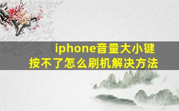 iphone音量大小键按不了怎么刷机解决方法