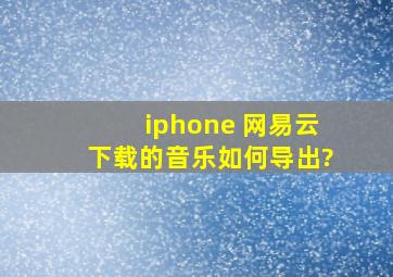 iphone 网易云下载的音乐如何导出?