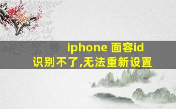 iphone 面容id识别不了,无法重新设置