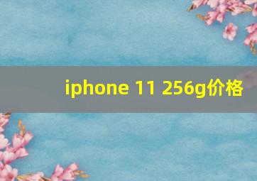 iphone 11 256g价格