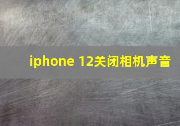 iphone 12关闭相机声音