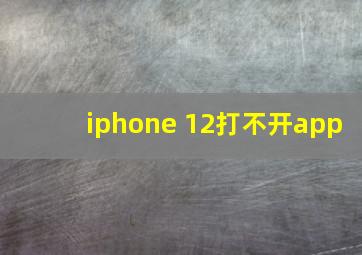 iphone 12打不开app