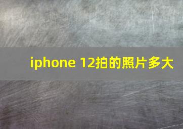 iphone 12拍的照片多大