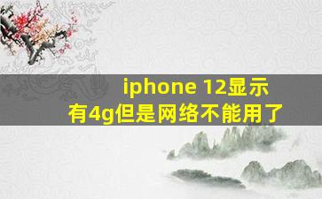 iphone 12显示有4g但是网络不能用了