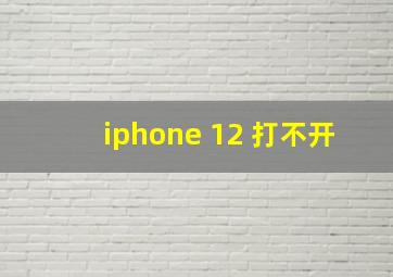 iphone 12 打不开