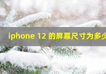 iphone 12 的屏幕尺寸为多少