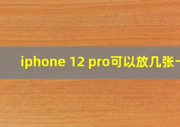 iphone 12 pro可以放几张卡