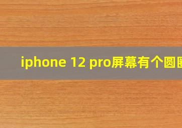 iphone 12 pro屏幕有个圆圈