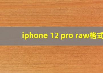 iphone 12 pro raw格式