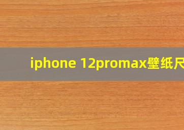 iphone 12promax壁纸尺寸