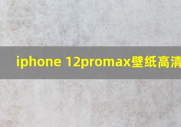 iphone 12promax壁纸高清原图