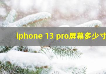 iphone 13 pro屏幕多少寸