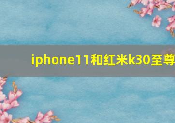 iphone11和红米k30至尊