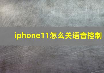 iphone11怎么关语音控制