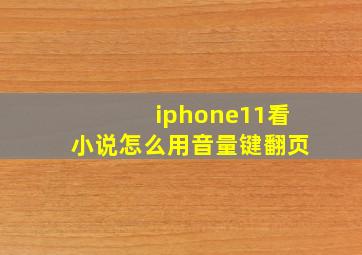 iphone11看小说怎么用音量键翻页