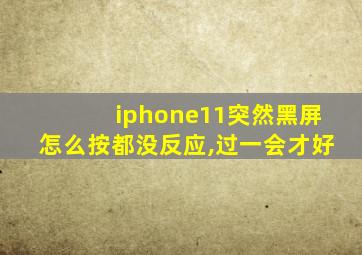 iphone11突然黑屏怎么按都没反应,过一会才好