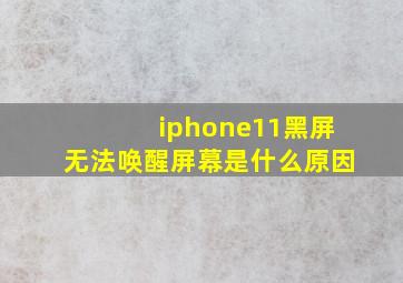 iphone11黑屏无法唤醒屏幕是什么原因