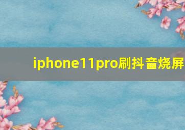 iphone11pro刷抖音烧屏